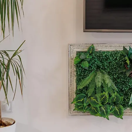Loft Con Mucha Luz En El Centro Barrio Ruzafa Holiday home Valencia