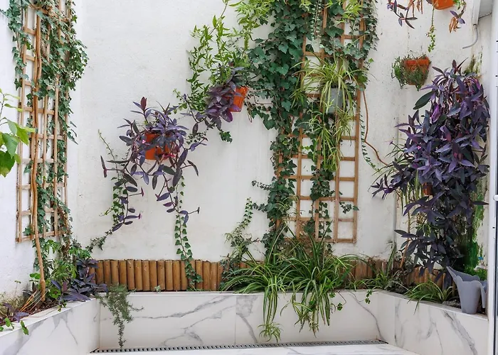 Artistic Loft, Full Of Light - Center Ruzafa Ferienhaus *