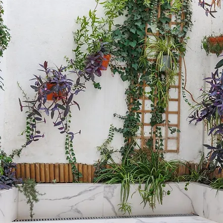 Loft Con Mucha Luz En El Centro Barrio Ruzafa Ferienhaus *